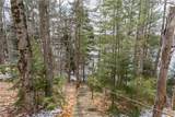 10416 Soft Maple Reservoir - Photo 2