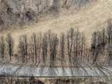 0 Capron Road - Photo 12