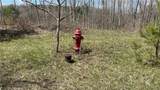 97 Oswego River Road - Photo 8