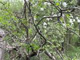  Sulphur Springs Rd Road - Photo 6