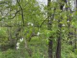  Sulphur Springs Rd Road - Photo 7