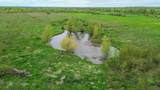  Wilson Point Road - Photo 2