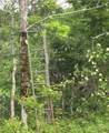 1273 Newport Gray Road Road - Photo 21