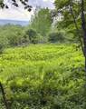 1273 Newport Gray Road Road - Photo 24