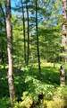 1273 Newport Gray Road Road - Photo 22