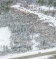  Eddy Road - Photo 2