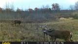  Two Rod Road - Photo 24