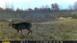  Two Rod Road - Photo 25