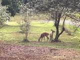 8015 Herder Road - Photo 44