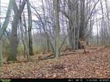  Hardys Road - Photo 6