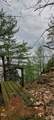 43623 Sweet Point Road - Photo 9