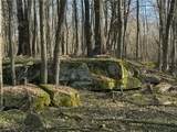 Lead Mine Rd - Photo 1