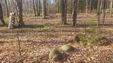  Walker Road - Photo 12