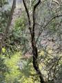 0 Berry Drive - Photo 15