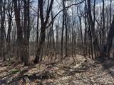  Harris Road - Photo 9