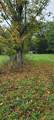 0 Branch Road - Photo 17