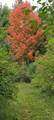 0 Branch Road - Photo 26