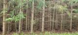 0 Branch Road - Photo 32