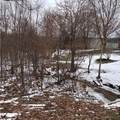 2330 Ridge Road - Photo 6
