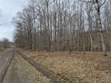 0 Haines Hollow Road - Photo 6