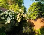 29 Beverly Place - Photo 39