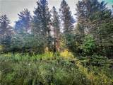 00 Wood Road - Photo 34