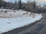0 Ingraham Road - Photo 3
