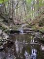 3843 Charlotte Creek Road - Photo 7