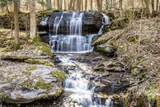  Bragg Hollow Road - Photo 15
