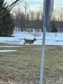 323 County Road 19 - Photo 6