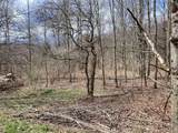 Lot 14.1 Joe Road - Photo 5