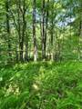 2865 Steam Mill Road - Photo 17
