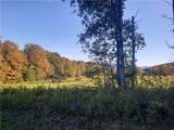 TBD Lower Dingle Hill Road - Photo 20