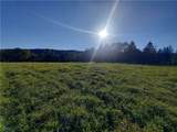 TBD Lower Dingle Hill Road - Photo 25
