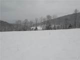 TBD Lower Dingle Hill Road - Photo 3