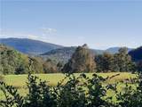 TBD Lower Dingle Hill Road - Photo 7