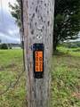 489 Route 62 - Photo 22