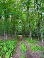 11556 Potato Hill Road - Photo 5