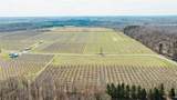 6258 Hill Road - Photo 4