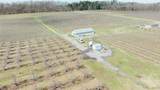 6258 Hill Road - Photo 5