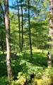 1273 Newport Gray Road Road - Photo 22