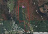 285 Patria Road - Photo 11