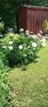 14243 State Street - Photo 44