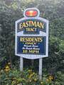 7374 Tassone Drive - Photo 41