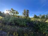 00 Wood Road - Photo 15
