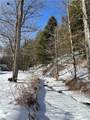 3843 Charlotte Creek Road - Photo 41