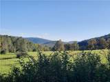 TBD Lower Dingle Hill Road - Photo 13