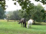 174 Fred Braun Road - Photo 24