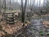 5630 Norris & Rt 104 Road - Photo 23