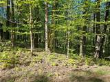  Long Pond Road - Photo 11